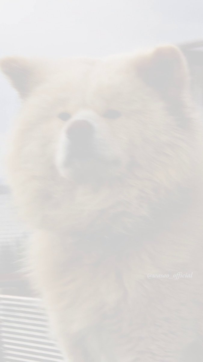 わさお公式 (@WASAO_official) / Posts / X