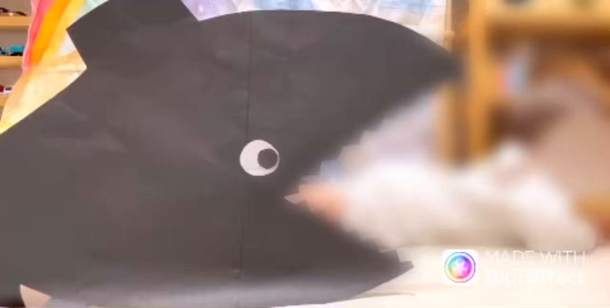 後ろずり這い期にしかできない遊び‥ （本人は前に進みたい😂）