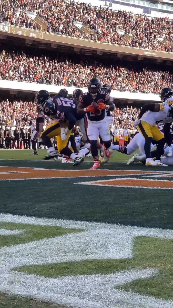 We see you, rook 👀 