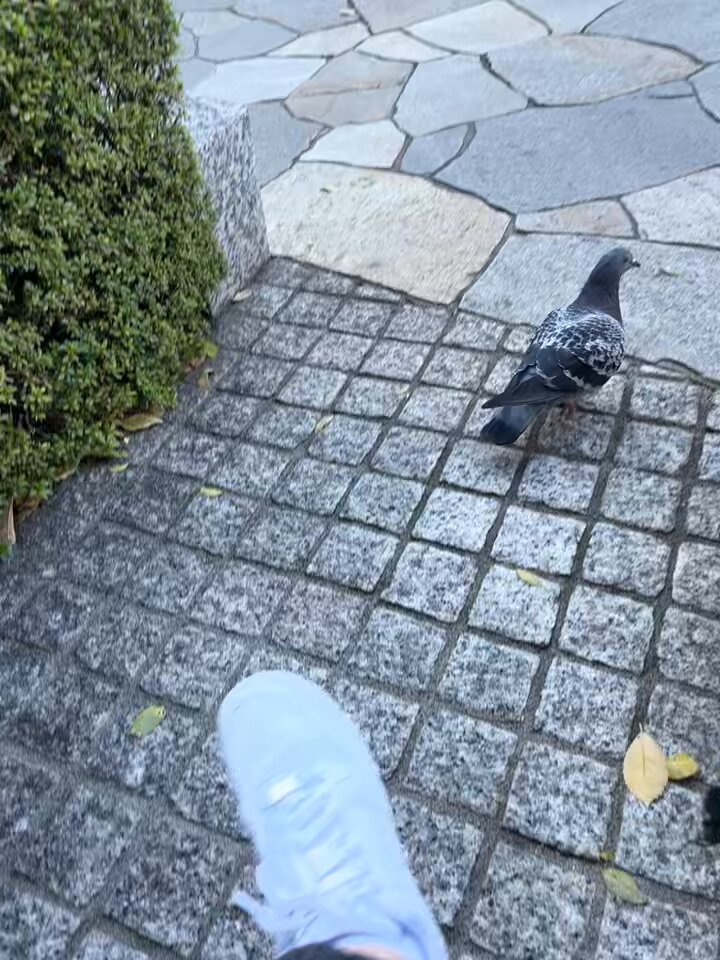 ひなさま (@positivehinasan) / Posts / X