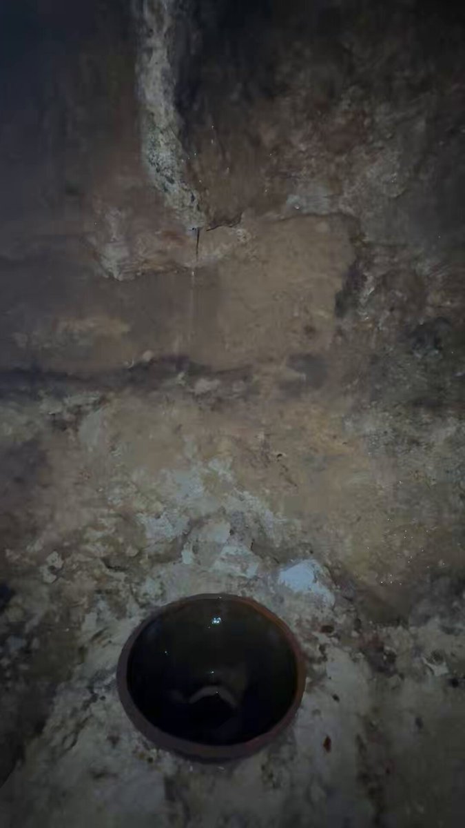 11/24】 ○石垣島鍾乳洞③ ほかにも、天然の水琴窟やトトロに似た