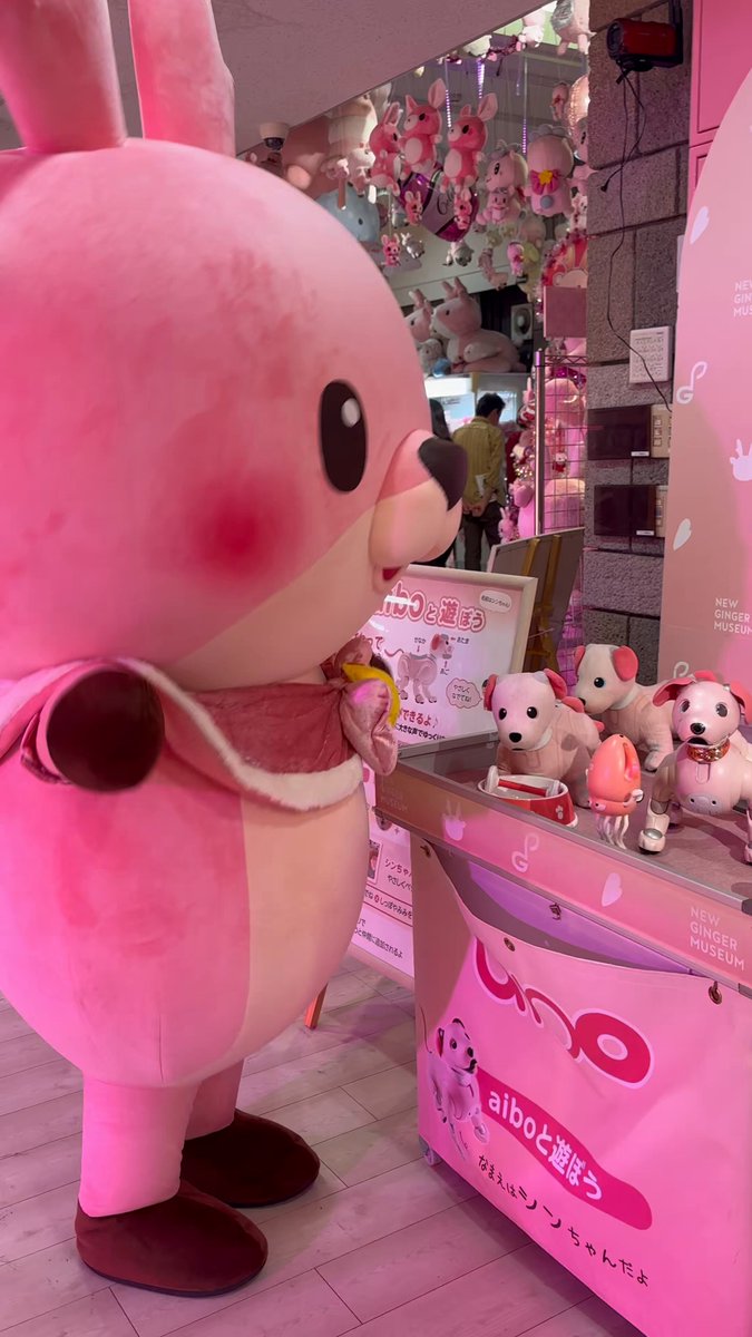 あーちゃん (@xaxxyxxnx) / Posts / X