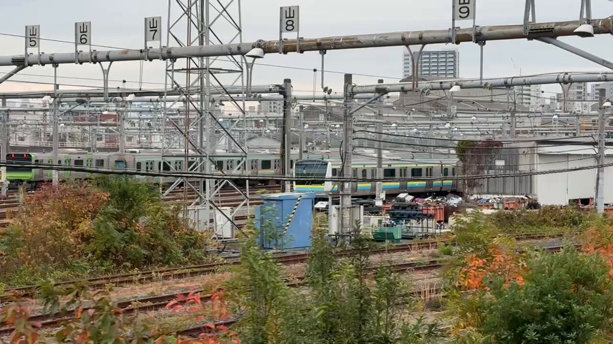 いっちー (@7727_1959) / Posts / X