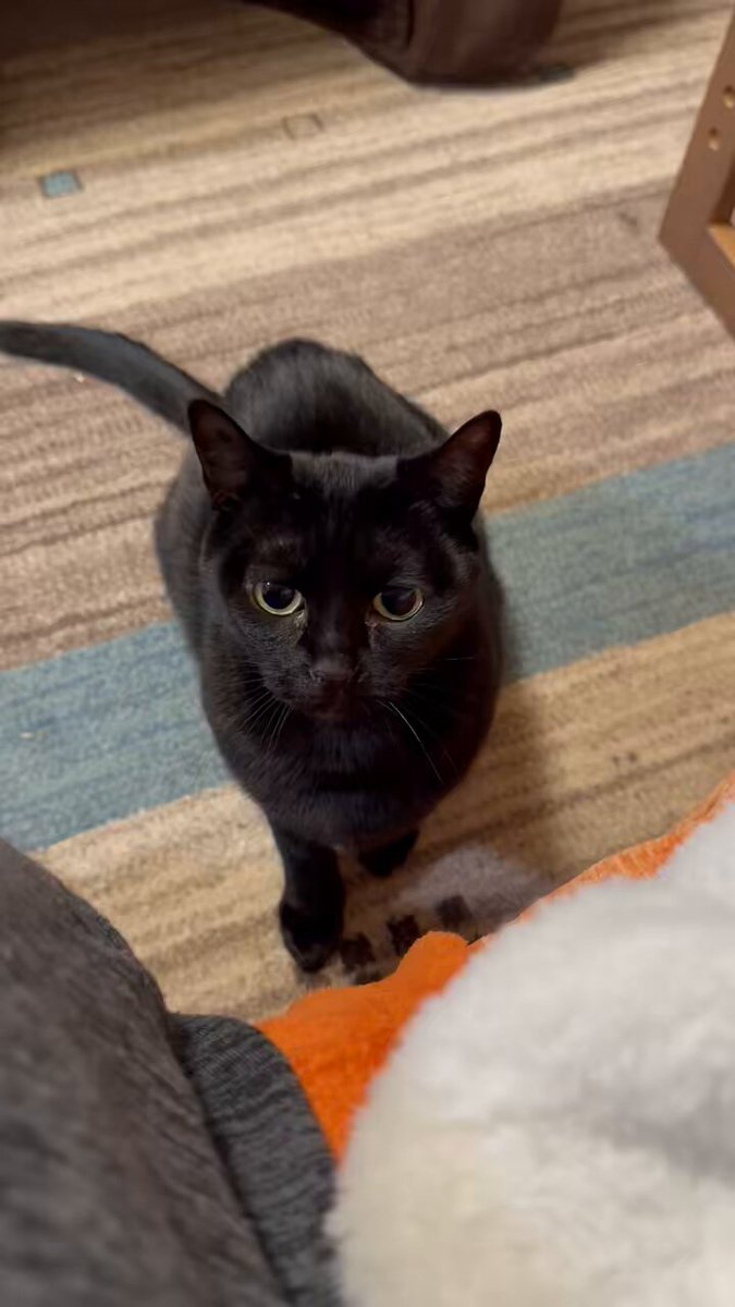 突然のチラ触り💦 何か持ってると思ったのかな？ 何も持ってないけどね☺️