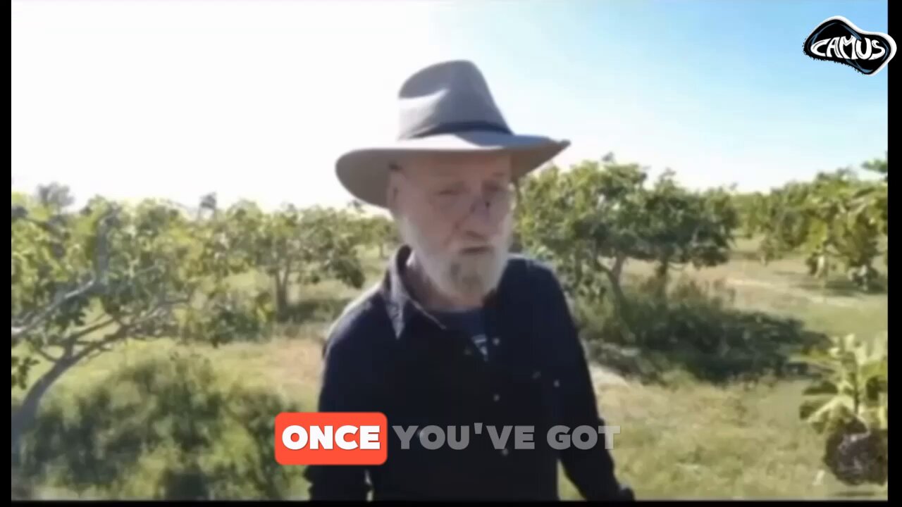 Camus (@newstart_2024) on X