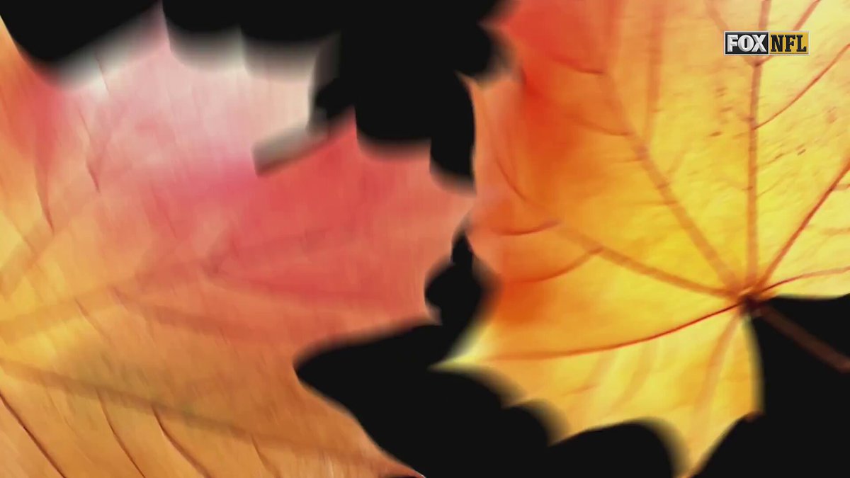 FOX NFL Sunday is live from Detroit on Thanksgiving Day ahead of @packers vs @Lions  on FOX! 🦃

Coverage begins 11am ET/8am PT 📺 