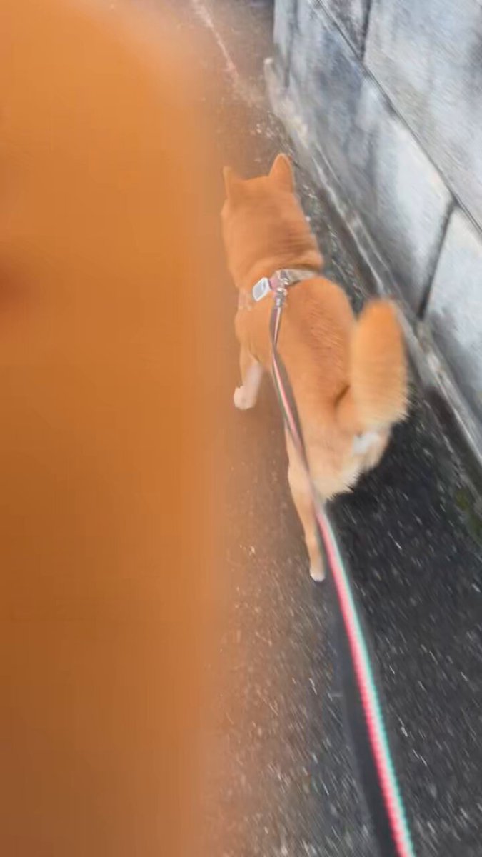 HIROMI⭐︎ Kuromi様 on X