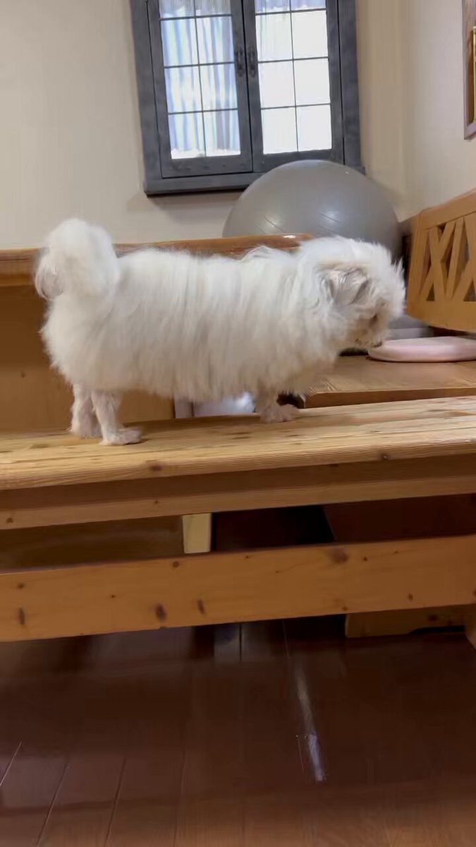 ハルくん (@9Z8lquSv8B3FMpN) / Posts / X