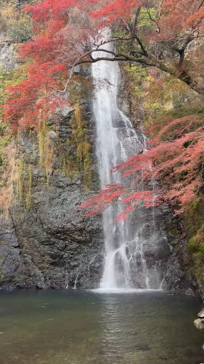 僕きぃㄘゃԽ☆ポンコツ店主 (@888ysn) / Posts / X