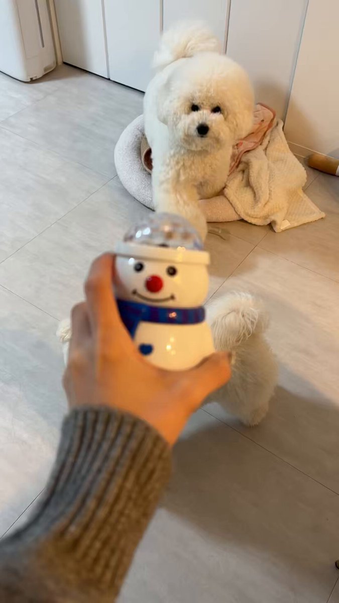 とむおじ (@3tomoji3) / Posts / X