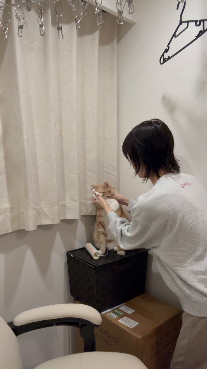 りくちゃん (@riku3chan) / Highlights / X