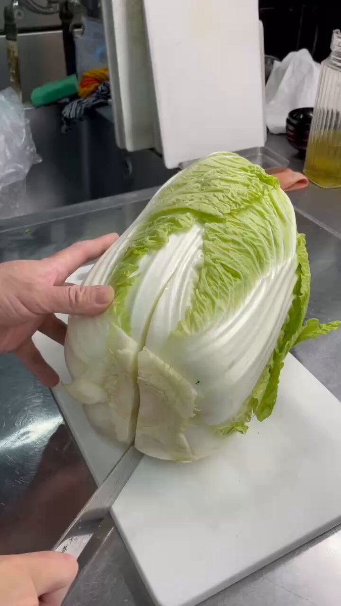 薫木ハクト／ヨシキにぃ☕️📷⛺️ (@mk_hakuto) / Posts / X