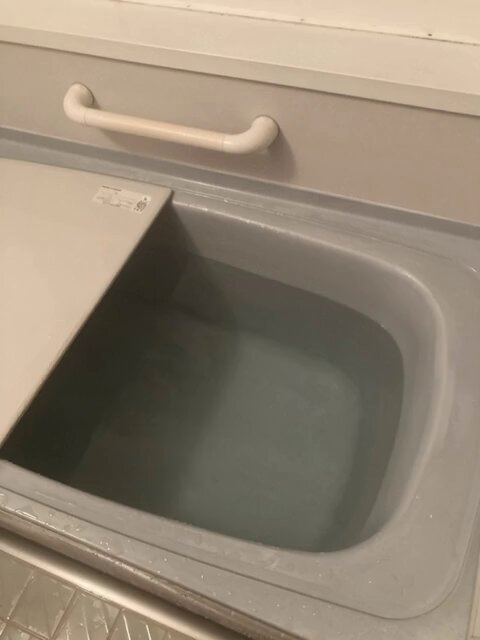 Image for the Tweet beginning: #デイトラ   #デイトラコミュニティ

昨日は風呂にトドがいました
不覚にもかわいいなあと思ってしまいました
動物がもつ人間に「可愛いな」
と思わせる力はなかなか強いなと思う今日この頃です
鳴き声もかわいいですね（ホントにこういうふうに鳴くのかはわかりませんが、、、）… 