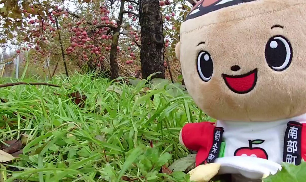 なべまる (@nabemaru_22) / Posts / X