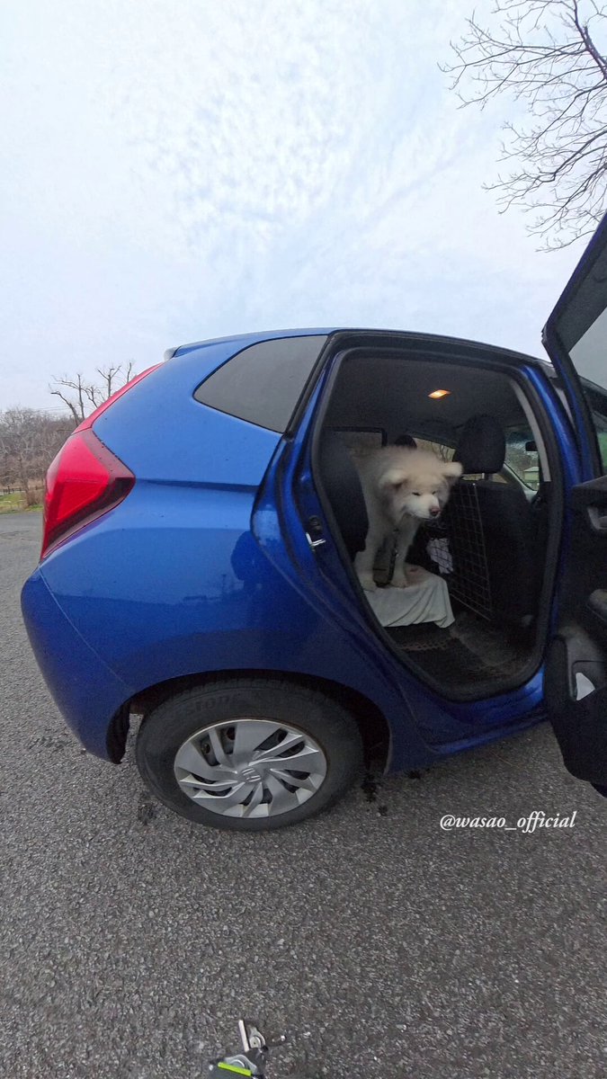 わさお公式 (@WASAO_official) / Posts / X