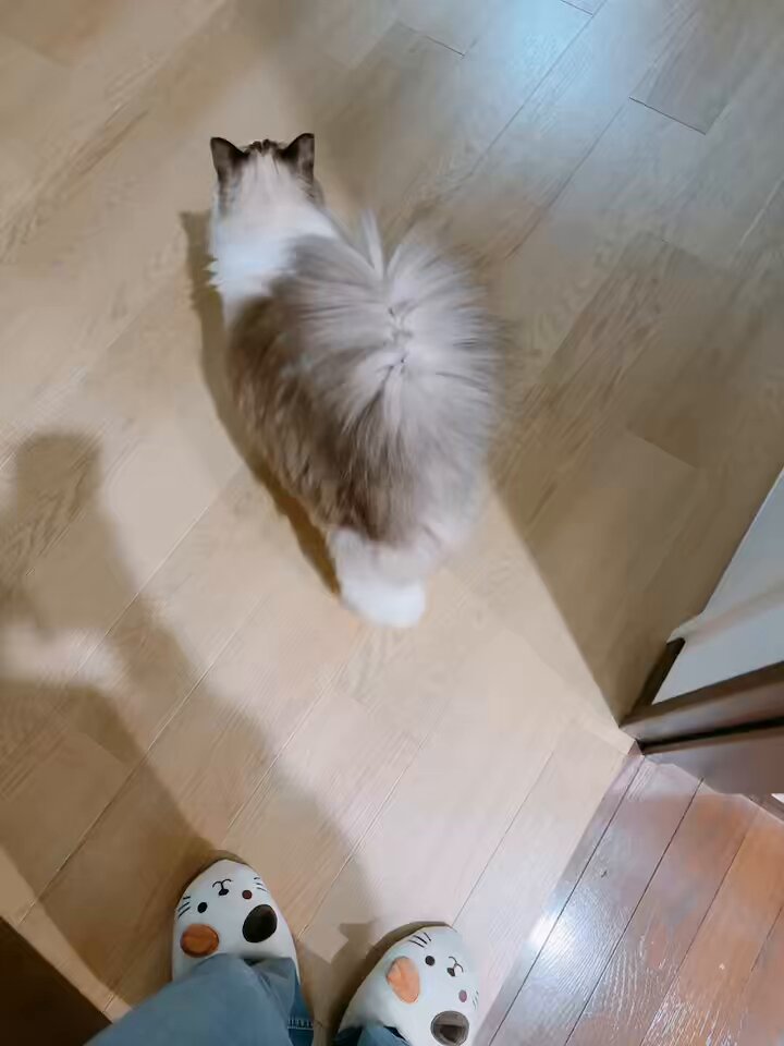 s a o r i n✩.*˚様 ✽.｡:*さおりん*´꒳`ฅ (@saorin_0306) / Posts / X