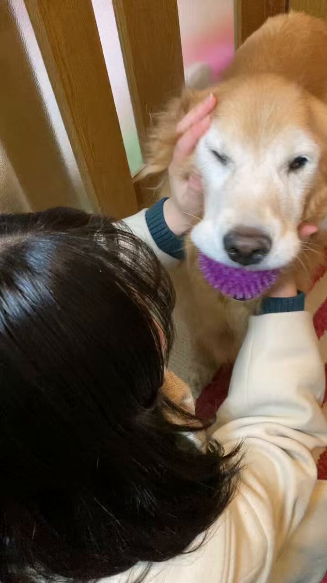 また動画です🙇‍♀️