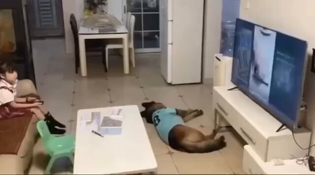 Massimo (@Rainmaker1973) on X