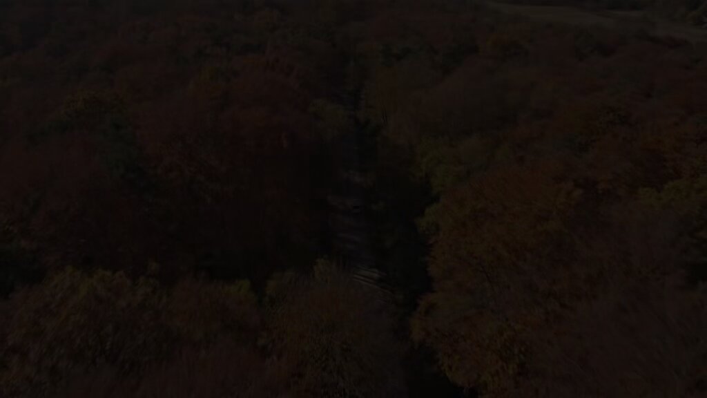 Image for the Tweet beginning: Our annual #Thanksgiving video from