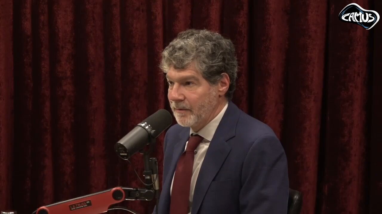 Camus (@newstart_2024) on X