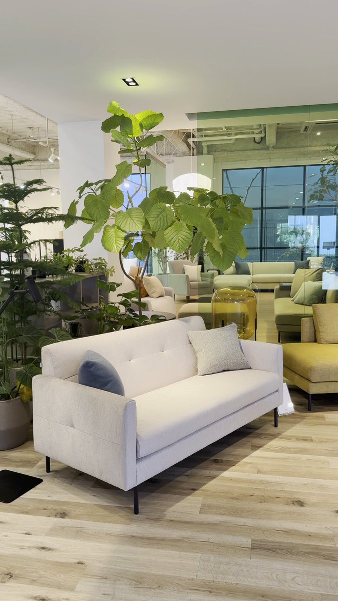 NOYES (@NOYES_Official) / Posts / X