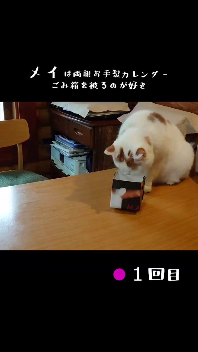 MARCO 🟡写真集「メイ先輩」🟡 (@marco74444) / Posts / X