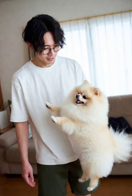 ポメラニアンを飼う妄想に取り憑かれて、脳内イメージだけ作りました