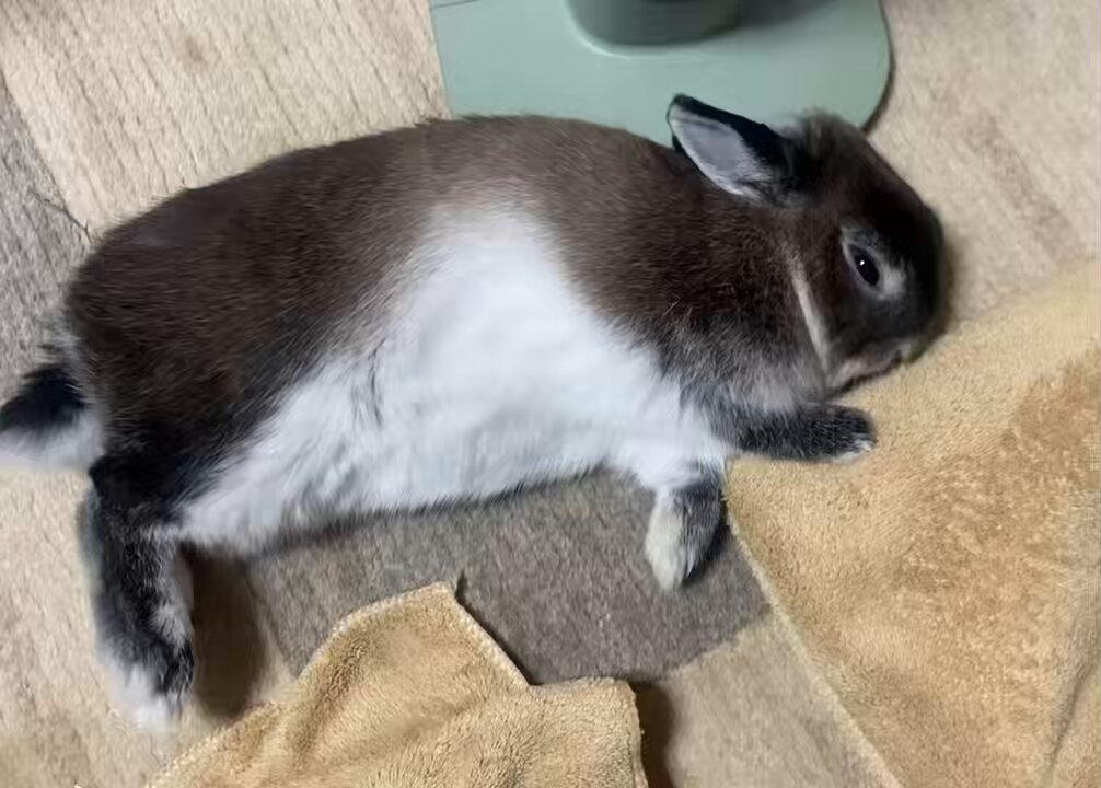 おやすみなさい🌙