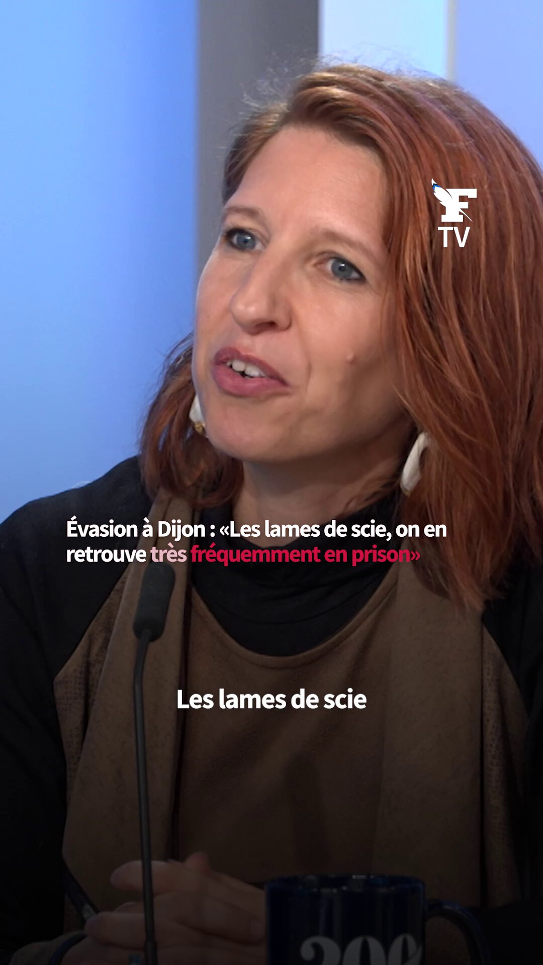 Évasion à Dijon : «On retrouve très souvent des lames de scie, projetées au-dessus des murs. J'ai connu une seule prison épargnée par les projections, mais les lames passaient par l'énorme trafic en interne», raconte Valérie Mousseeff, directrice de prison en Guadeloupe.
