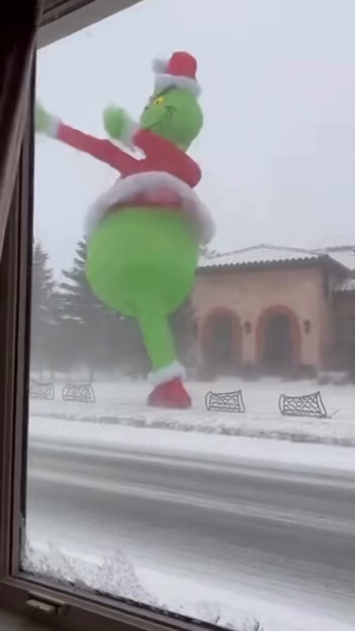 IronHorse (@ironcanary) on X