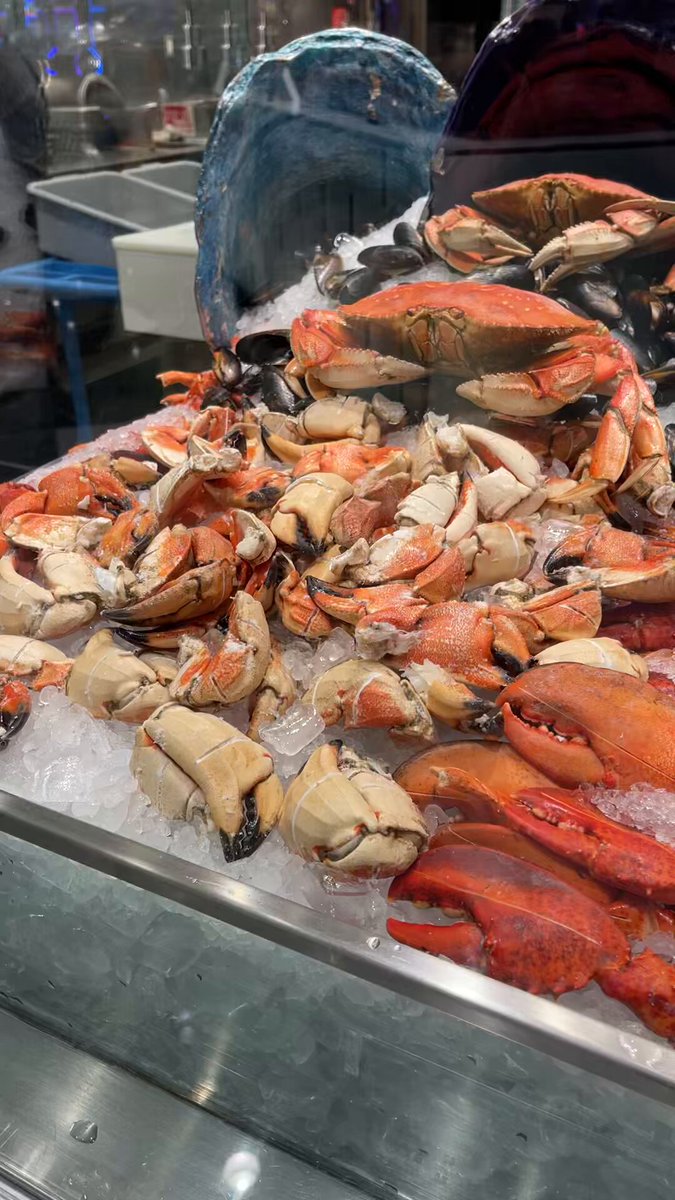 Kohei America (@kohei18721093) / Posts / X