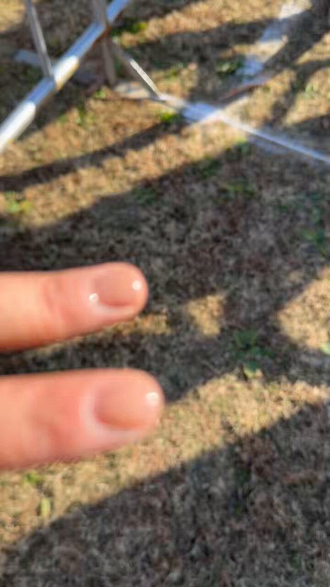 はなまる／hanamaru (@hanamaru_satoch) / Posts / X