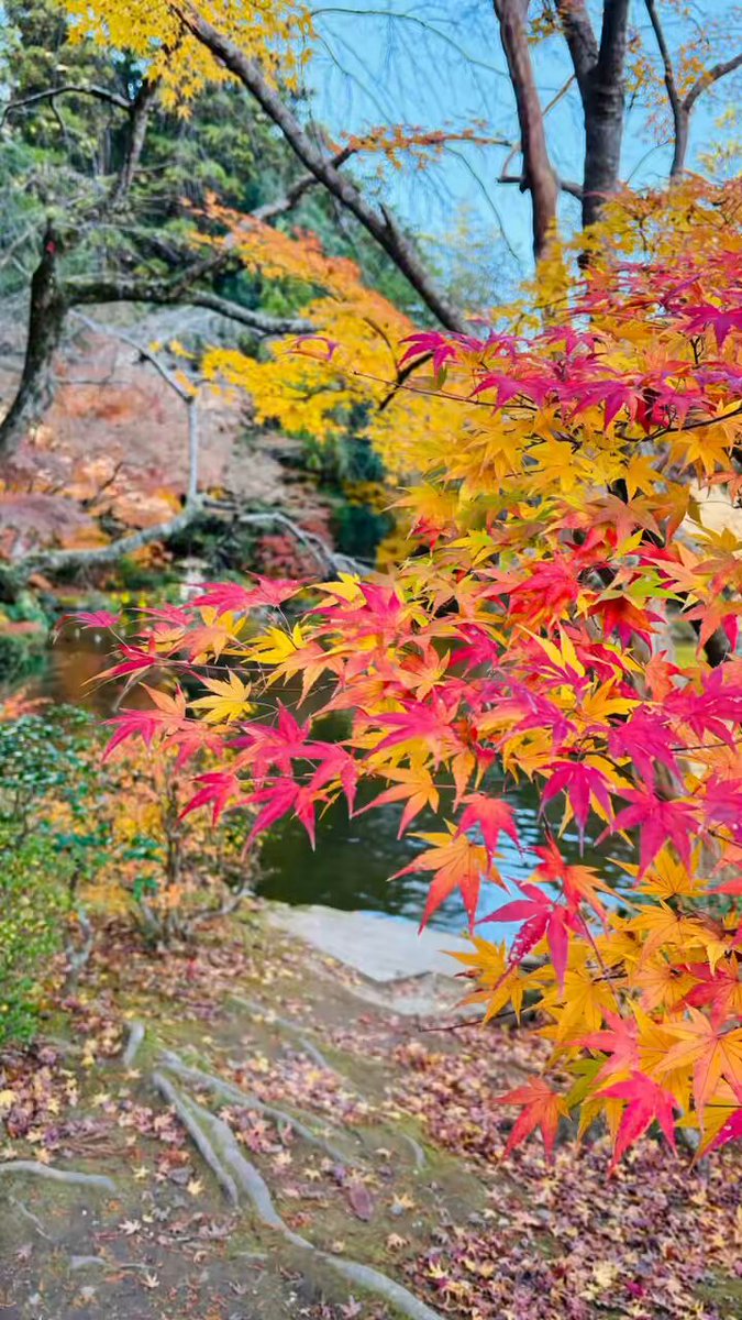 Rin＠（書籍販売中） (@rinsimpl) / Posts / X