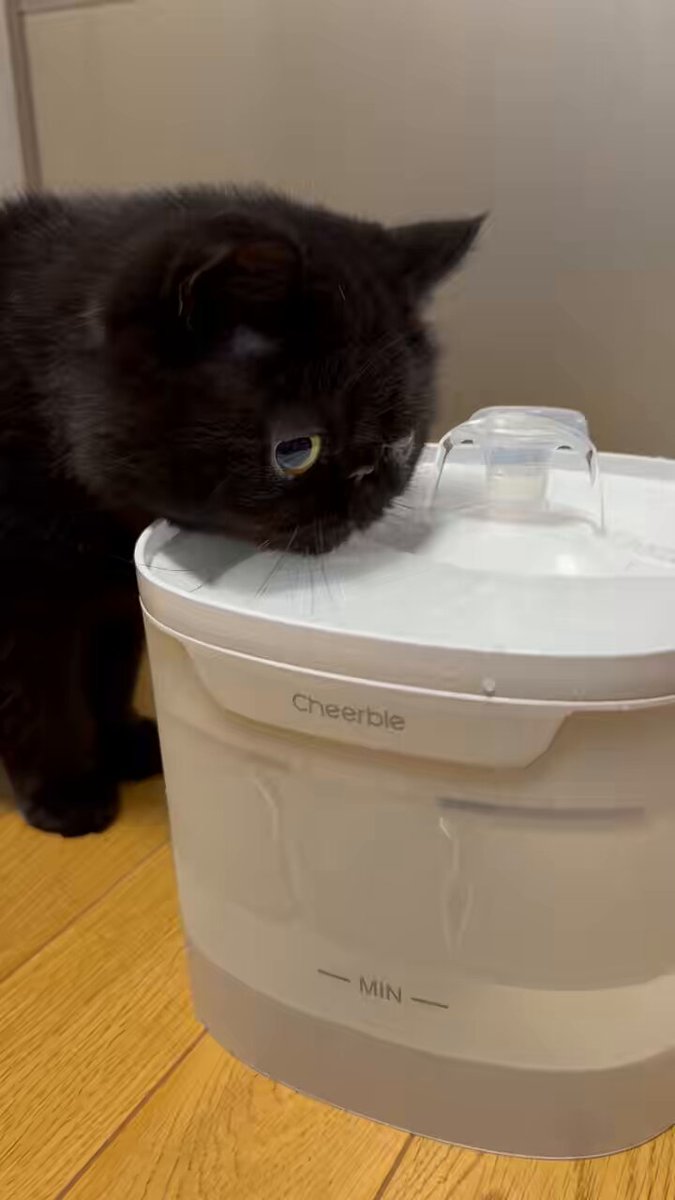 しぃちゃん (@shi_chan347) / Posts / X