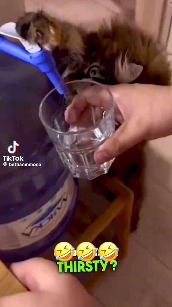 𝐿𝒶𝒹𝓎 𝒱 🥀 (@V_Lady2024) on X