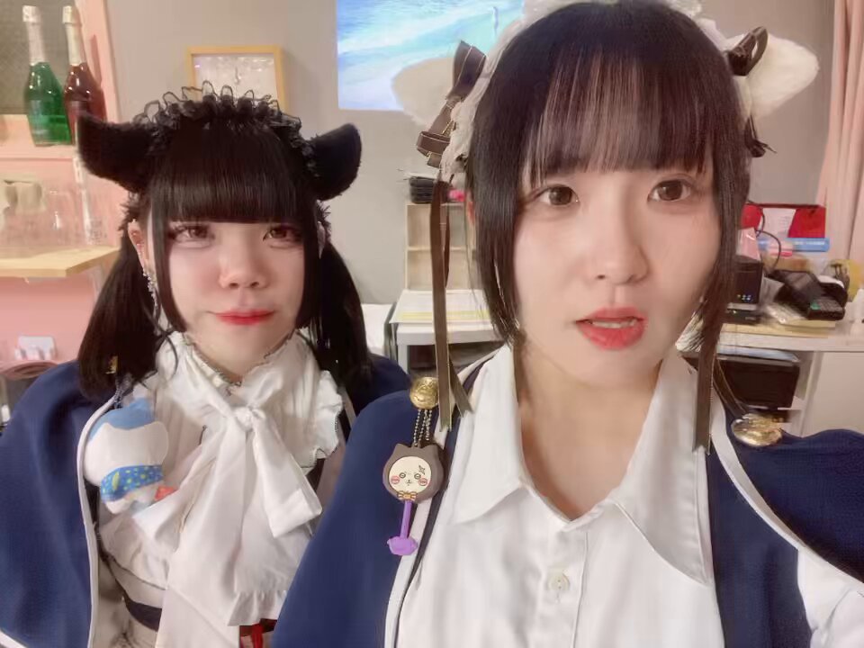 みけねこカフェ池袋☕✧ まったりんご！！ 本日の深夜は🌟と🎹です