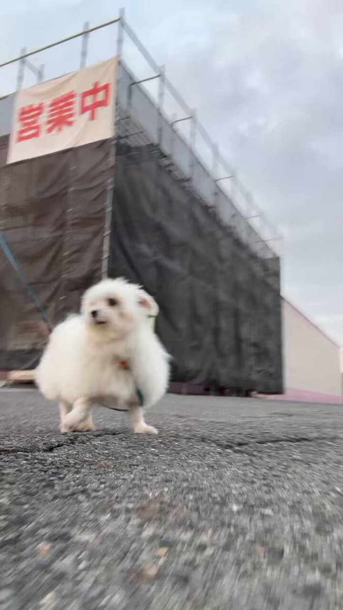 ハルさま確認ページ♥ ハルくん (@9Z8lquSv8B3FMpN) / Posts / X