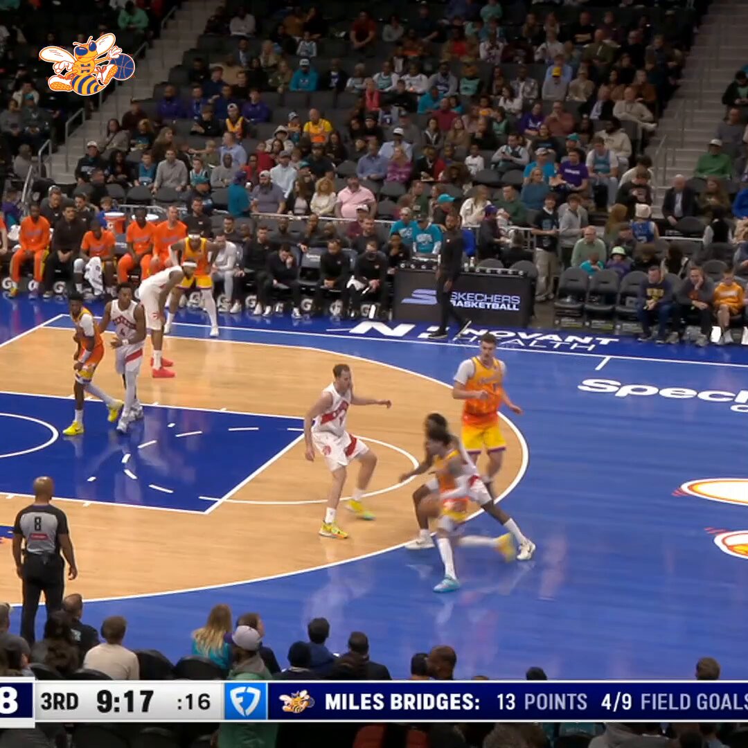 catch him if you can 💨

📹 @FDSN_Hornets | @MELOD1P 