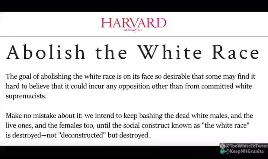 🤍 𝕂𝕚𝕥𝕥𝕖𝕟 🤍 (@Kittenwaffin) on X