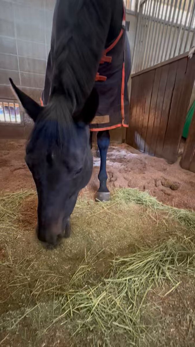 節約オタクふゆこ (@fuyuko190) / Posts / X