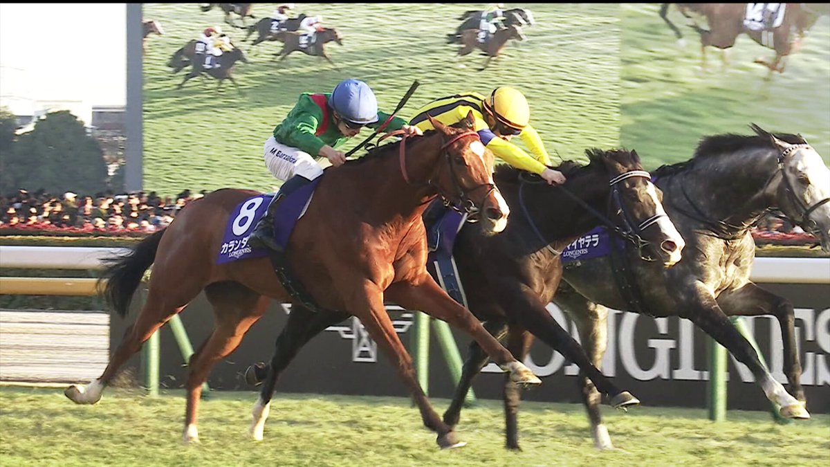 CADHIAS (@CADHIAS1) / Posts / X