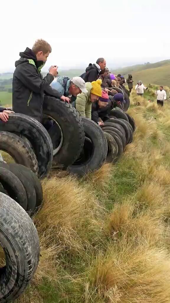 Dudes Posting Their W’s (@DudespostingWs) on X