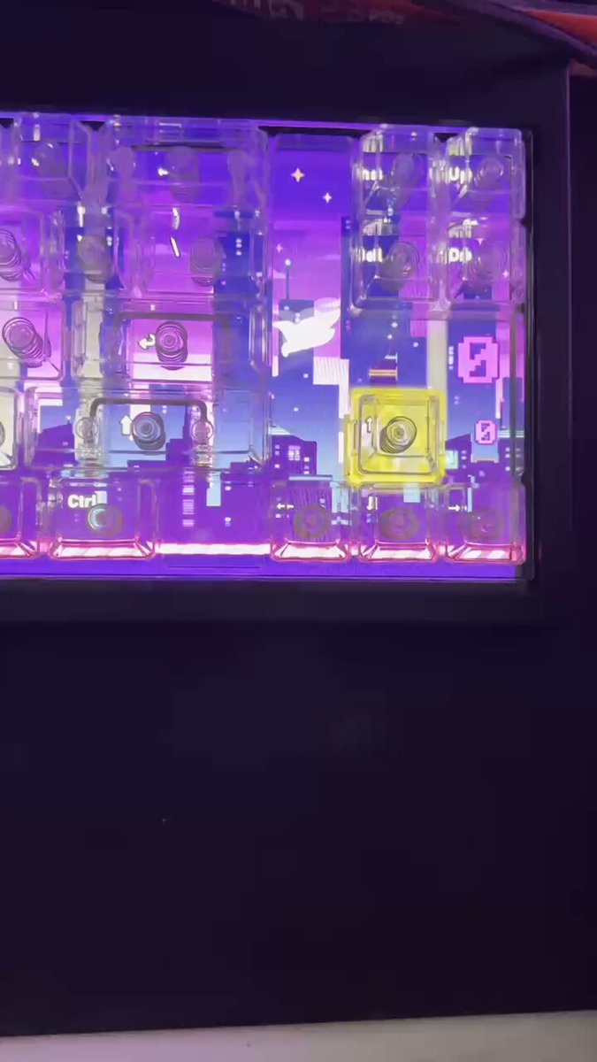 オルカ🆇 (@orukaorcat) / Posts / X