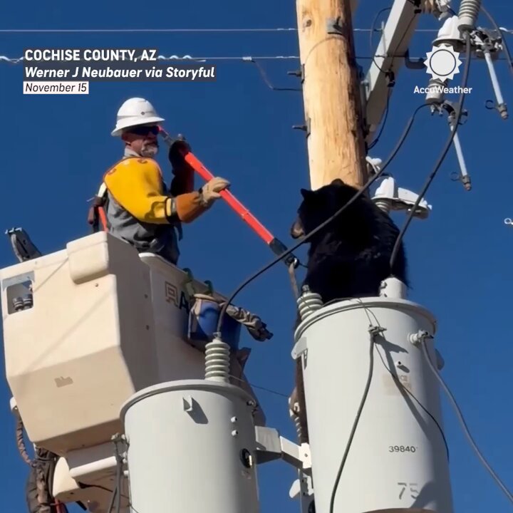 りえっクマ アリゾナ州の電力線作業員が、送電線に登って電撃の危険にさらされてい