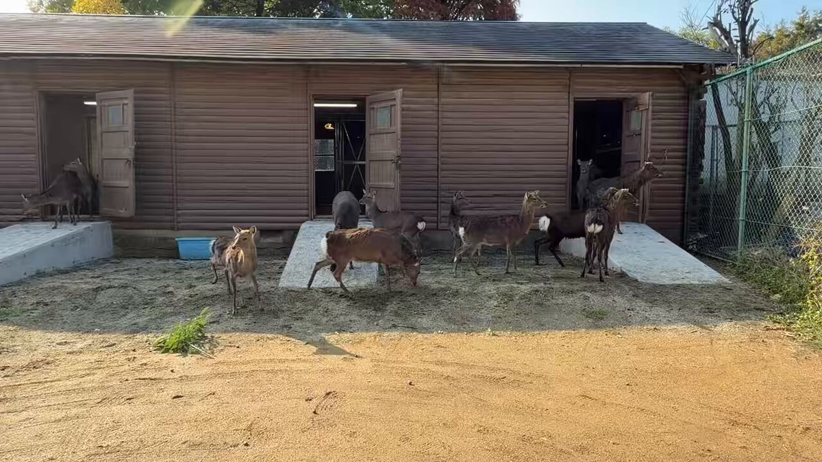 Kazz (@KazzA41522583) on X