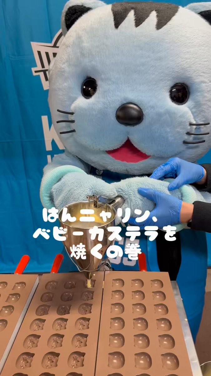 タヌchan (@tanuchan104) / Posts / X