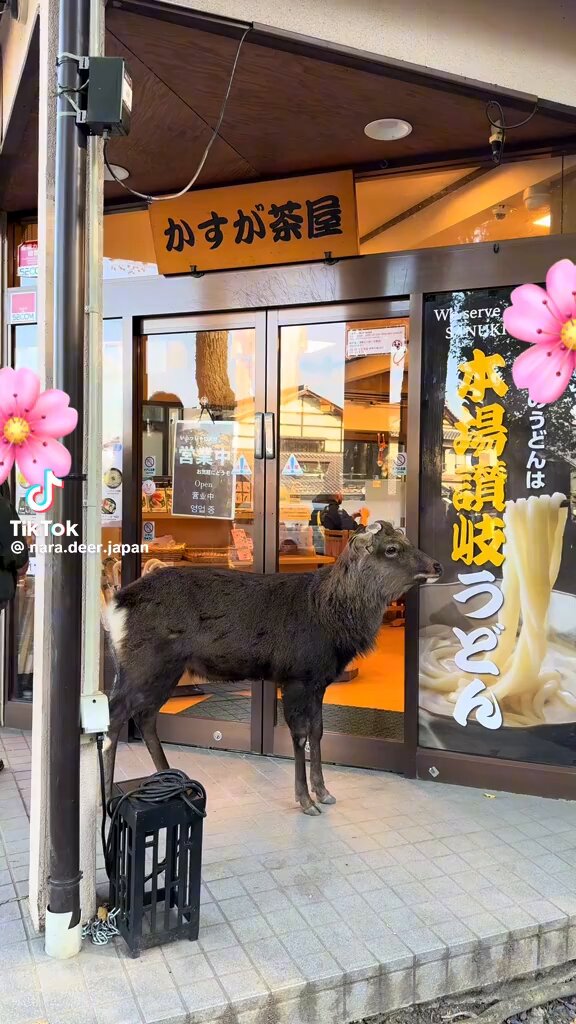 Post by たれこ😊🎌 on X: 😍