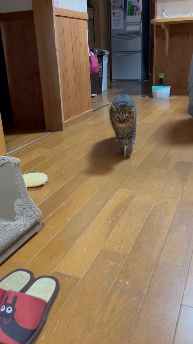 はると (@tomeji1106) / Posts / X