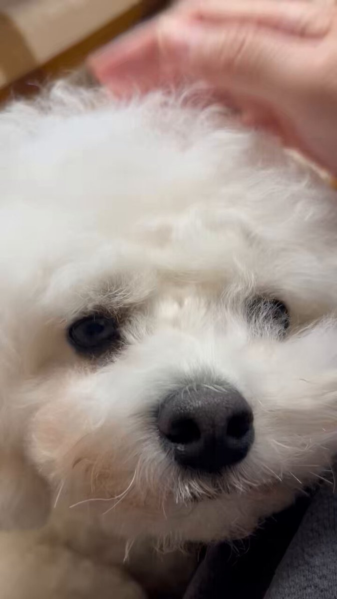 とろろの成長記録 (@tororo0927) / Posts / X