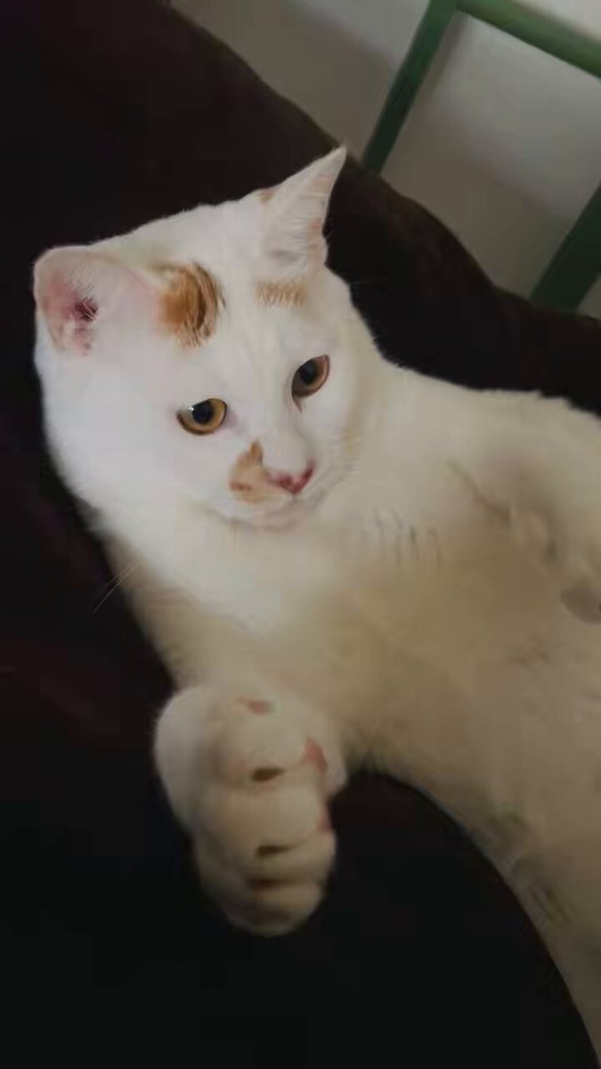 キャッチ&リリース #本日のじろう